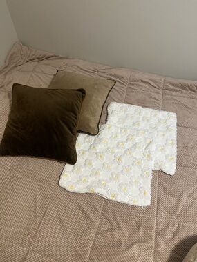 17inches throw pillow with two types of covers